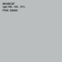 #BABEBF - Pink Swan Color Image